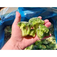 Капуста брокколи замороженная купить оптом в Москве по выгодной цене от производителя из Египта