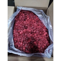 Замороженная малина от производителя «Фрагария» купить оптом в Москве по привлекательной цене