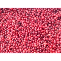 Замороженная клюква от производителя АЙС ТОРГ купить недорого крупным и мелким оптом в Москве, цена