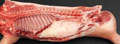 Свинина оптом