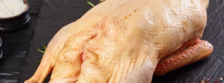 Мясо утки оптом